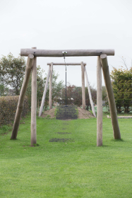 Robinia taubane (20 meter)