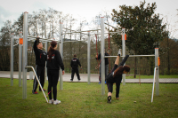 Monkey Bars 